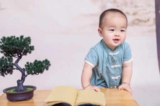 广州代怀供卵公司可爱的企鹅宝宝